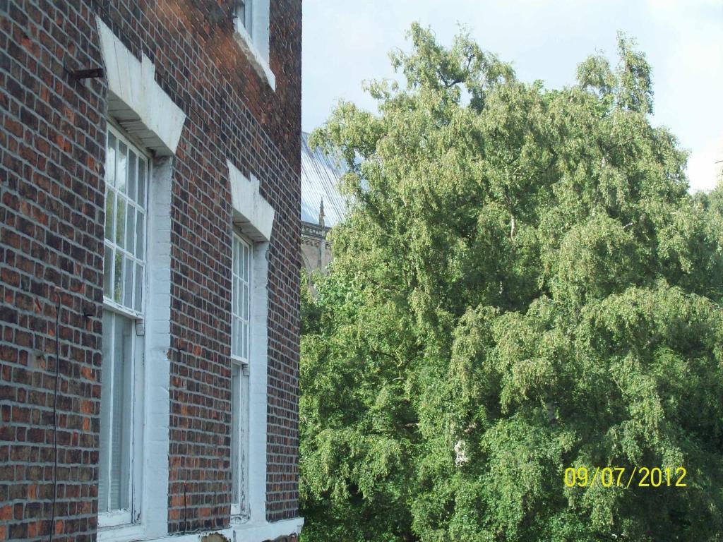 Minster Garth Guest House Beverley Cameră foto